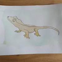 Crested Gecko A5 watercolour painting