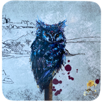 Animal & Criccieth Castle Coasters