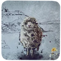 5/6 The sheep. the animal that Wales is truly known for. Animal & Criccieth Castle Coasters gallery shot 12