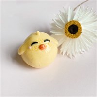 Cute baby chick eomycuti desk pal
