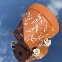 Dainty white leaf 11cm terracotta pot