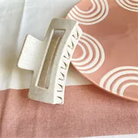 Danish Pastel Modern Claw Hair Clips