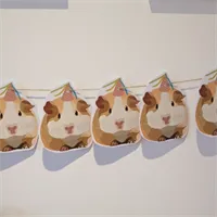 Guinea pig/ Hamster/ bunting/ party 3 gallery shot 6