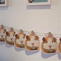 Guinea pig/ Hamster/ bunting/ party 4