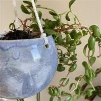 Hanging Planter