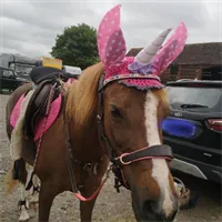 Horses Unicorn Cap/bonnet/ fly veil. 1