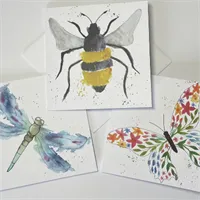 Insect Pack Of Greetings Cards