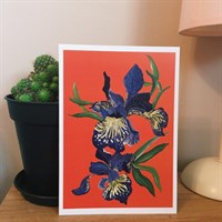 Iris Print