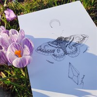 Lunar Moth Pointillism Art Print
