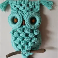 Macramé Owl Wall Hanging Cotton Cord. 9