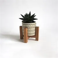 Mini Plant Stand