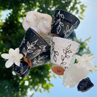 Monochrome Leaf Pattern Mini Planter Set