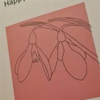 Mothers Day Card. Pink Snowdrop Flower.