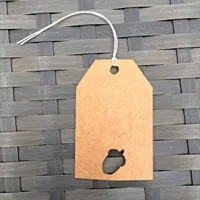 Acorn Tags