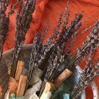 Palo Santo & Dried Lavender Wand details
