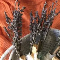 Palo Santo & Dried Lavender Wand flower details gallery shot 9