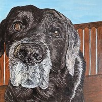 Pet Portraits 8"x8" - Commission Based