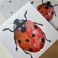 Red Ladybird Greetings Card