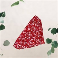 Red Paisley Pet Bandana