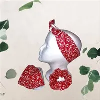 Red Paisley Pet & Owner Accessory Set