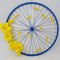 Repurposed Bike Wheel Photo Frame