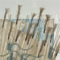 River Reeds 5