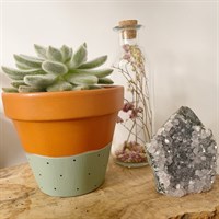 Sage Green 11cm Terracotta Plant Pot