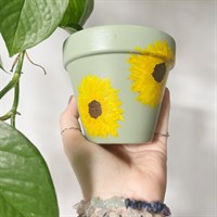 Sage Green Sunflower Plant Pot