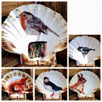 Scallop Shell Trinket Dishes