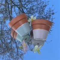 Set of two 8cm terracotta plant pots