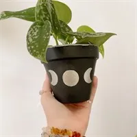 Silver Moon Phase Celestial Plant Pot