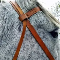 Simple Bridle, browband close up