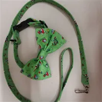Set Of Matching Dog Collar Bow & Lead.