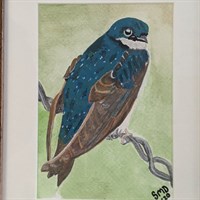 Tree Swallow Watercolour Painting