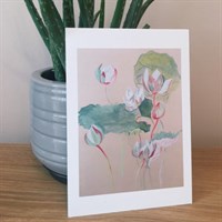 Water Lily | English Garden Collection