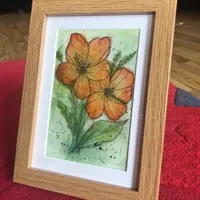 Watercolour line art mayflowers