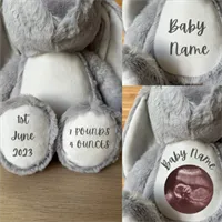 Welcome To The World Personalised Bunny