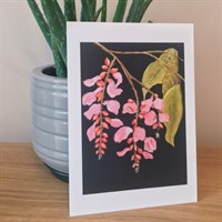 Wisteria Print | The Amazon Collection