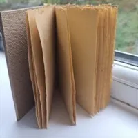 Wooden Pufferfish Notebook