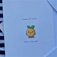 You&#39;re the zest, Birthday Card. litt 10
