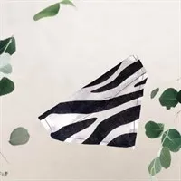 Zebra Print Pet Bandana